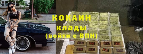спиды Новодвинск